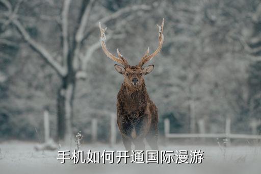 手机如何开通国际漫游