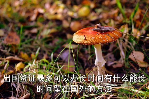 出国签证最多可以办长时间有什么能长时间留在国外的方法