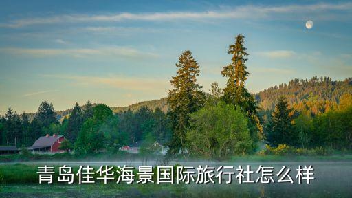 国际海滨旅游公司怎么样，青岛佳华海景国际旅行社怎么样
