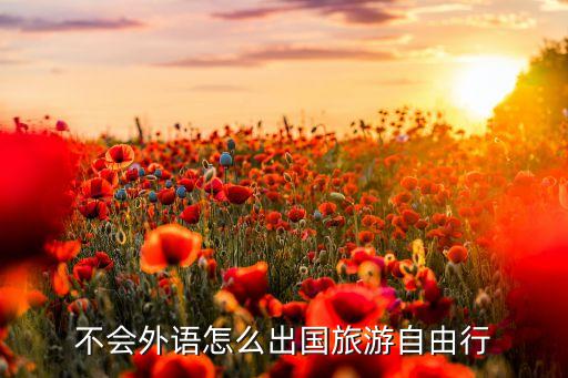 不会外语怎么去国外旅游，不会外语怎么出国旅游自由行