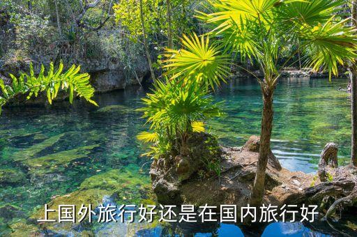 上国外旅行好还是在国内旅行好