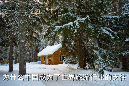 旅游业的国际地位是什么，我国为什么发展国内旅游业