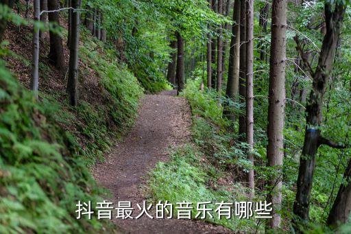 抖音最火的音乐有哪些