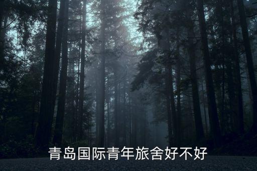 青岛青年国际旅游社怎么样，青年国际旅行社 新民店怎么样