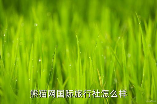 熊猫网国际旅行社怎么样
