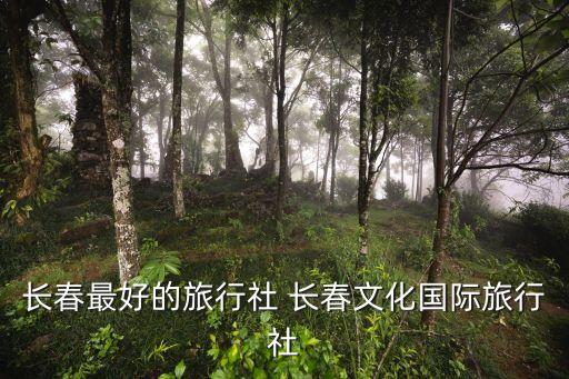 长春最好的旅行社 长春文化国际旅行社
