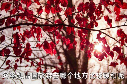 冬季想出国旅游去哪个地方比较暖和呢