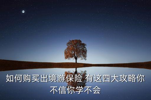 如何购买出境游保险 有这四大攻略你不信你学不会