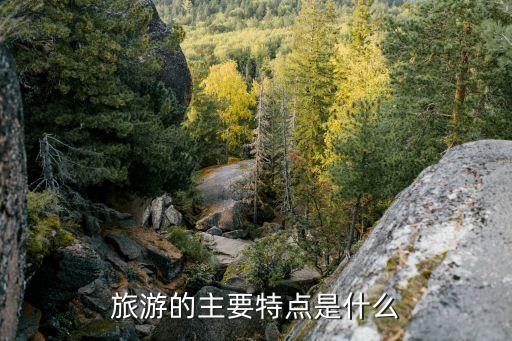 国际旅游特征是什么，近距离的国际旅游具有流量大和的特点