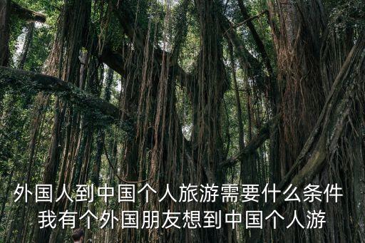 外国人到中国个人旅游需要什么条件 我有个外国朋友想到中国个人游