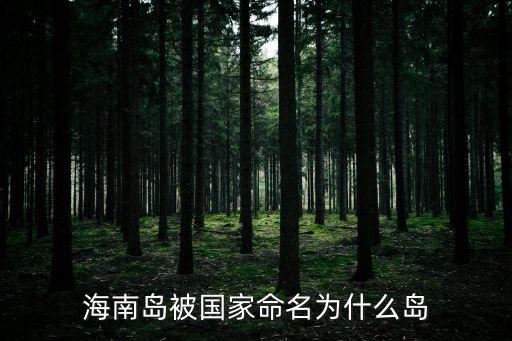 海南岛被国家命名为什么岛