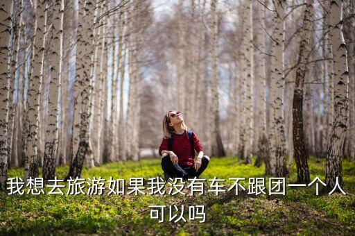 到国外旅游没车坐怎么办，想去美国西部国家公园游不自驾还有什么其他的方法