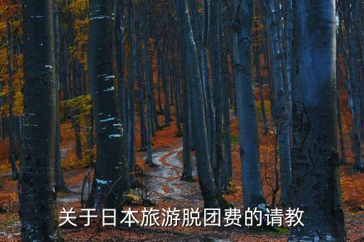 关于日本旅游脱团费的请教