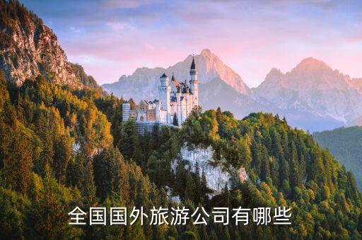 哪些公司可以国际旅游，全国国外旅游公司有哪些