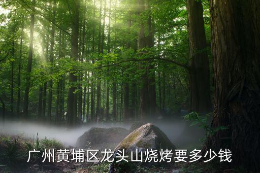 广州黄埔区龙头山烧烤要多少钱