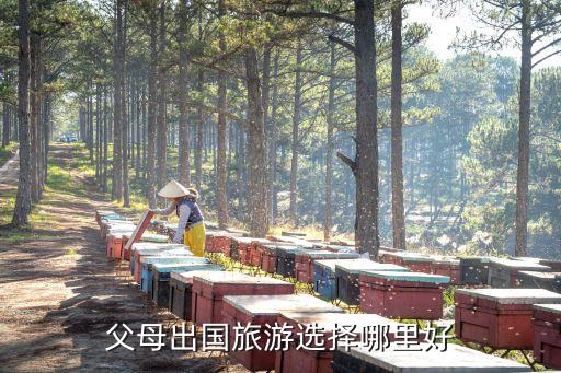 父母出国旅游选择哪里好