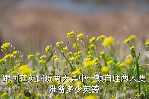 国外去旅游准备多少钱英镑，去英国旅游要多少钱