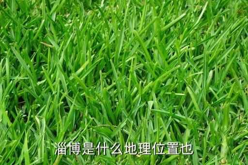淄博是什么地理位置也