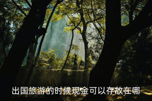 出国旅游的时候现金可以存放在哪