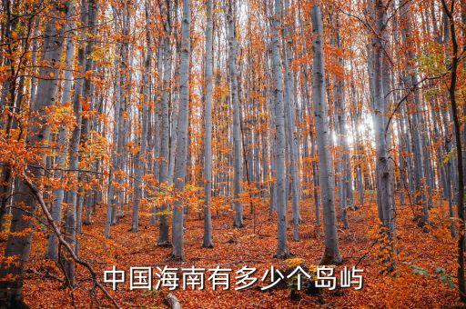 中国海南有多少个岛屿
