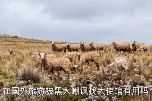 在国外旅游被黑人嘲讽找大使馆有用吗