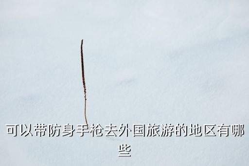 可以带防身手枪去外国旅游的地区有哪些