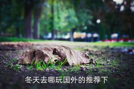 冬季最适合去哪里旅游国外，冬季去哪里旅游国外比较好