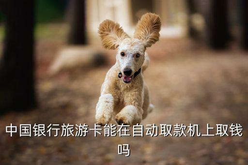 中国银行国际旅游卡怎么用，中国银行旅游卡能在自动取款机上取钱吗