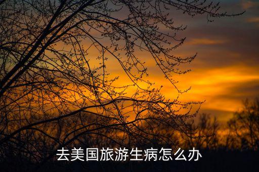 去美国旅游生病怎么办
