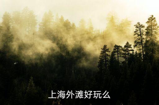 上海国际旅游度假区有什么，陆家嘴有哪些旅游景点