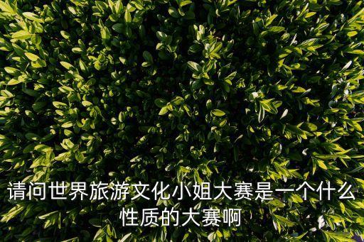 请问世界旅游文化小姐大赛是一个什么性质的大赛啊