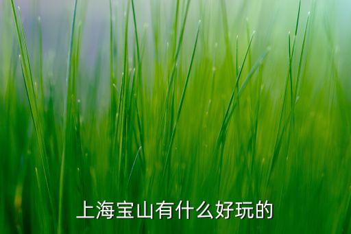 上海宝山有什么好玩的