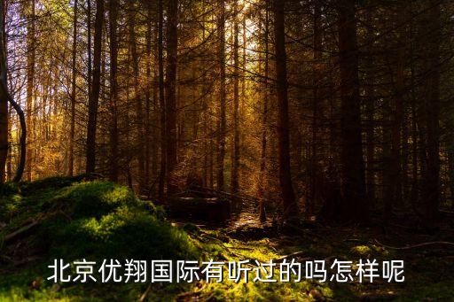 优翔国际旅游怎么样，优翔的健康旅行挺贵的问下优翔是正规的公司吗规模大不大  搜