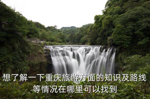 重庆国际旅游状况如何查询，想了解一下重庆旅游方面的知识及路线等情况在哪里可以找到