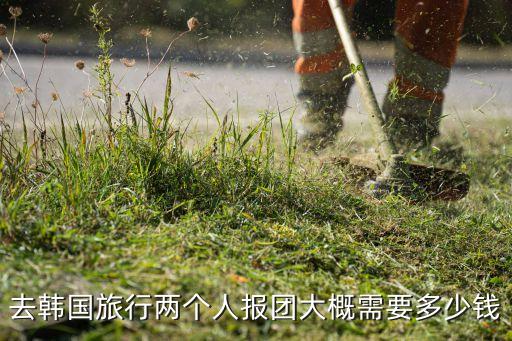 国外旅游报团一般要多少钱，现在跟团出国旅游报价大概多少