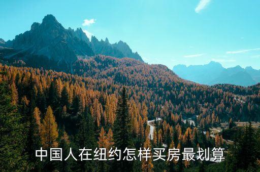 中国人在纽约怎样买房最划算