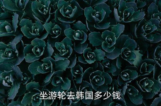 邮轮旅游国外一次多少钱，邮轮日本游整个行程最少要花多少钱
