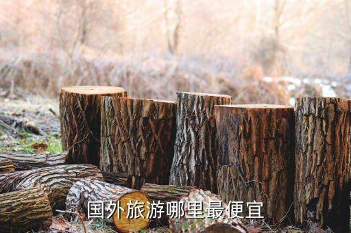 国外旅游哪里最便宜