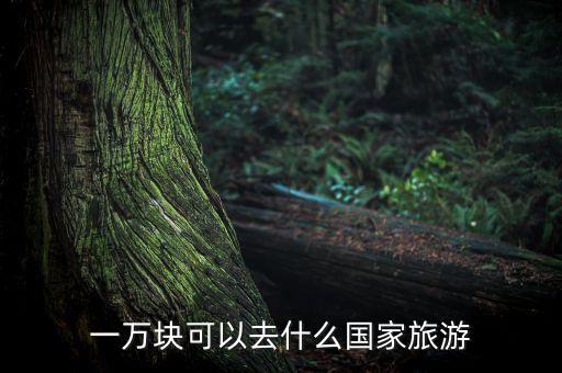 一万块可以去什么国家旅游