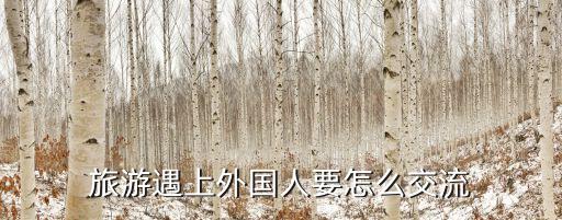 旅游遇上外国人要怎么交流