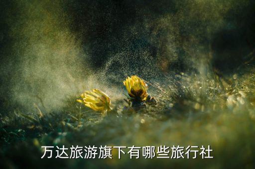 万达旅游旗下有哪些旅行社