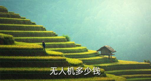 无人机多少钱