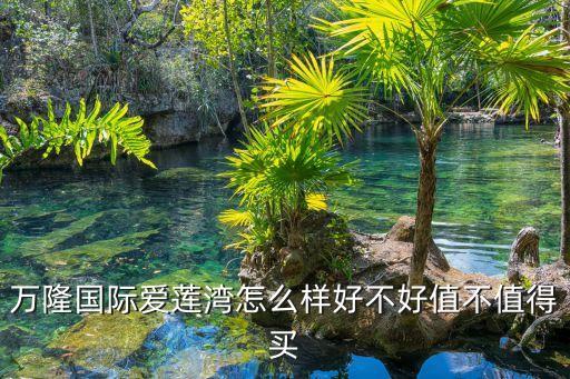 万隆国际爱莲湾怎么样好不好值不值得买