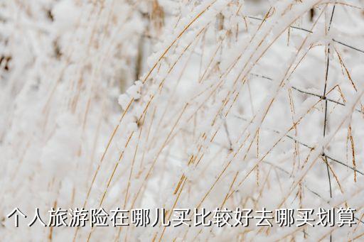 哪里买国际旅游险好呢西安，境外旅游保险在哪买哪家的境外旅游保险最好