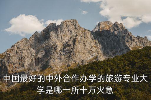 哪个大学国际旅游专业，中国最好的中外合作办学的旅游专业大学是哪一所十万火急