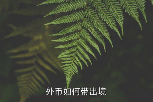 外币如何带出境