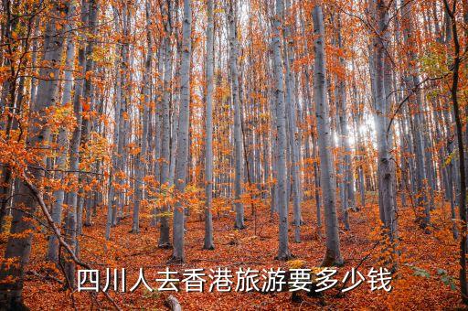 四川到国外旅游多少钱一天，四川到日本多少钱
