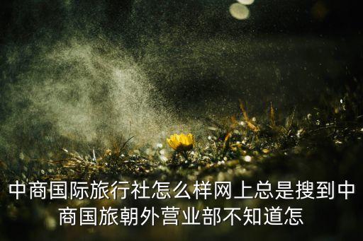 中商国际旅游社怎么样，中商国际旅行社怎么样网上总是搜到中商国旅朝外营业部不知道怎
