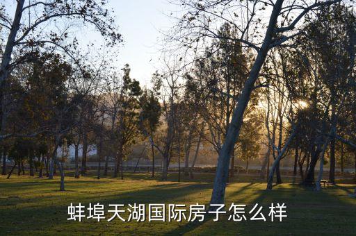蚌埠天湖国际旅游城怎么样，蚌埠龙子湖街道天湖国际是哪个区