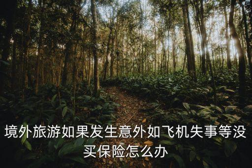 国外旅游赔二十万怎么办，境外旅游事故赔偿处理